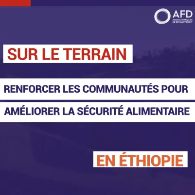 Renforcer les communautés pour améliorer la sécurité alimentaire en Éthiopie