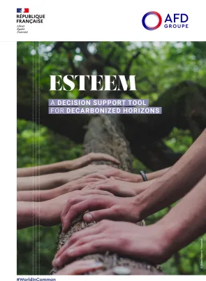 ESTEEM: A Decision Support Tool for Decarbonized Horizons