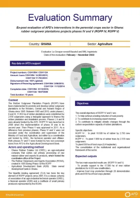 Evaluation Summary - AFD’s interventions in the perennial crops sector, Ghana