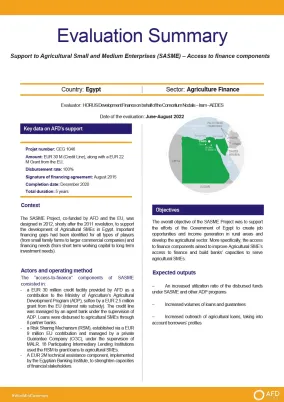 Access to finance, SASME project, Egypt