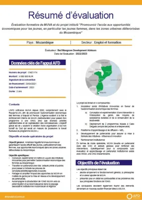 résumeevaluationmozambique