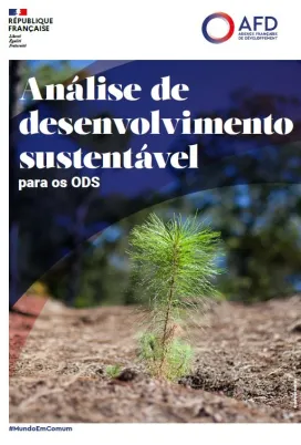 analise de desenvolvimento sustentavel