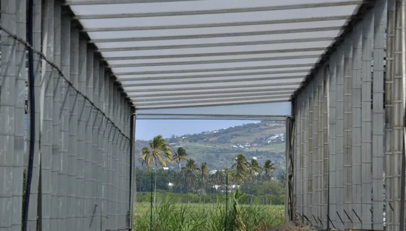 Akuo Energy, énergie renouvelable, La Réunion