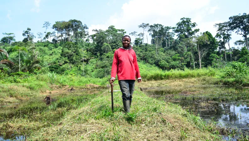 Favoriser les investissements productifs de la diaspora camerounaise