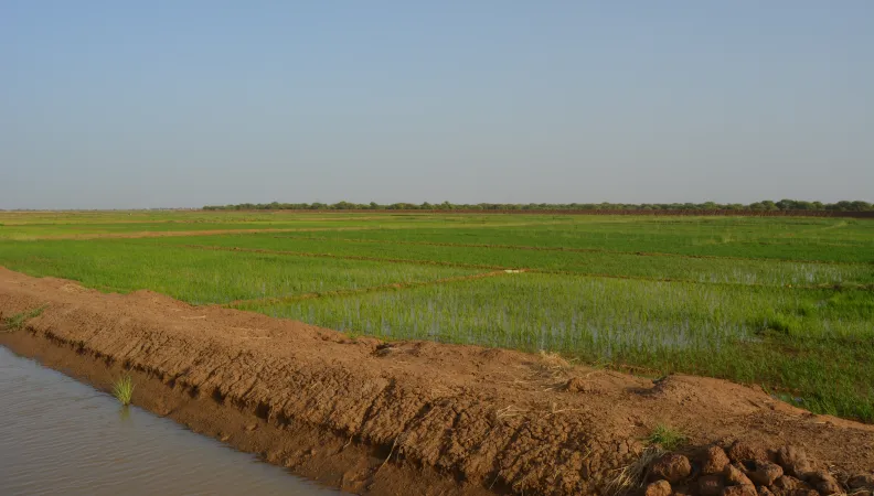Irrigation, agriculture, Sénégal