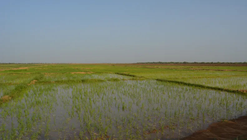 territoires ruraux, agriculture, Sénégal