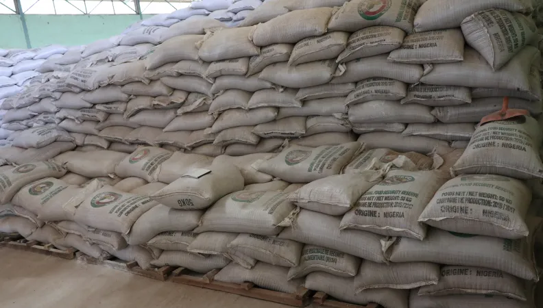 bags, food responsiveness, food security