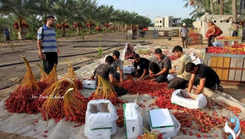 Renforcement de la compétitivité du secteur privé via la structuration des filières