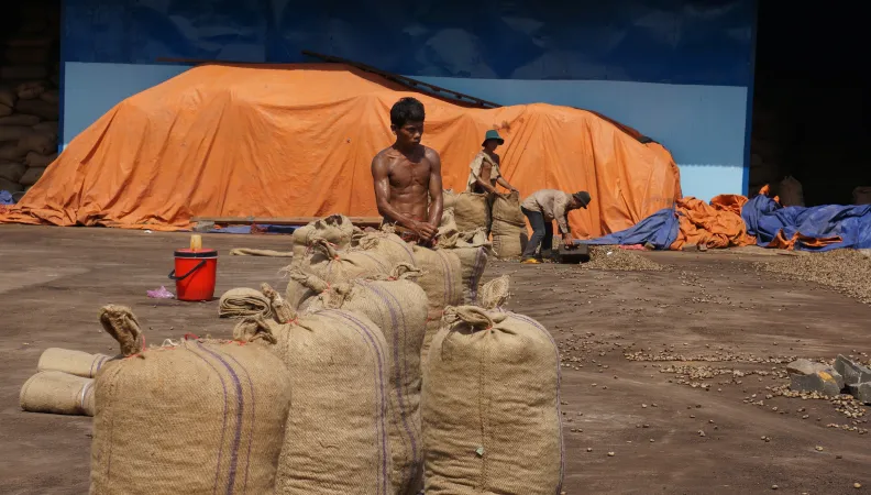 Soutenir le développement des Indications géographiques protégées au Vietnam (Programme PRCC) - Image