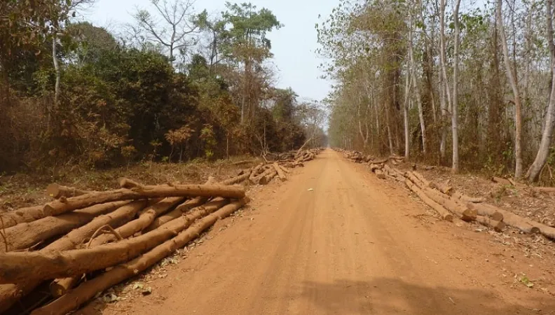 Conformo, projet gestion forêt durable, Bénin