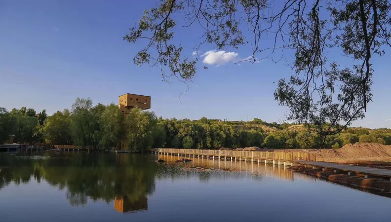 Restaurer les zones humides de Qixian, richesses biologiques indispensables