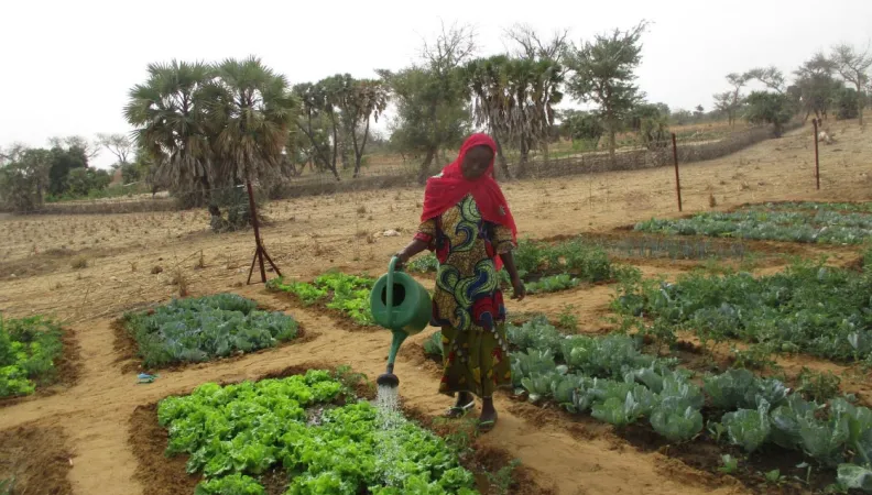 Soutenir le développement d’activités rurales et le financement de filières agricoles à Agadez et Tahoua