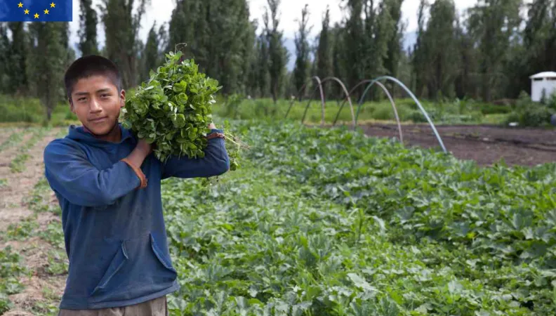 Comprendre les liens entre inégalités, mobilité sociale et perceptions 
