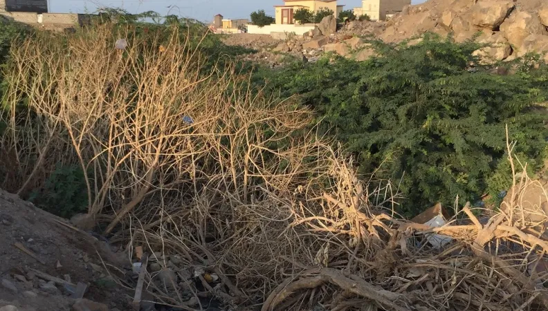 Un talweg dans le quartier de Balbala
