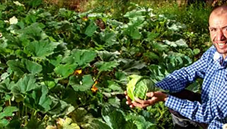 Amélioration des performances du secteur agricole à Ouarzazate