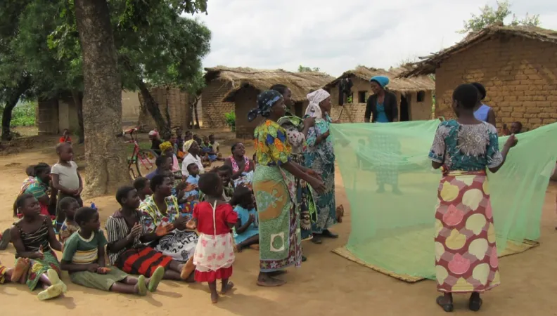 Réduction de la mortalité infanto-juvénile en zones rurales isolées