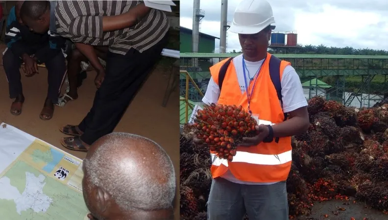 Mobilisation des OSC pour la mise en œuvre des engagements socio-environnementaux des entreprises agro-industrielles dans la province de la Ngounié