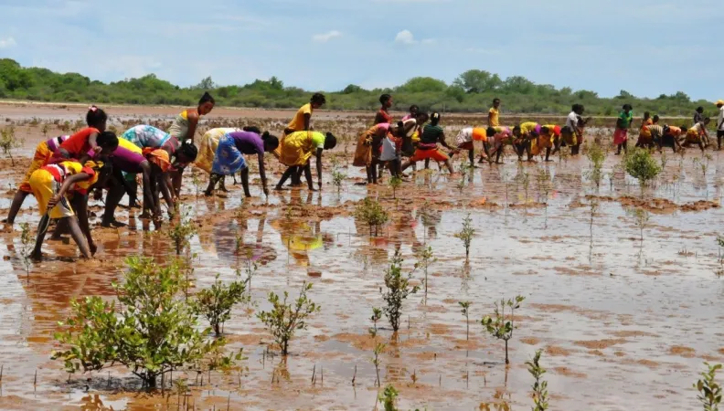 Vers un New Deal pour la Nature et pour l’Homme