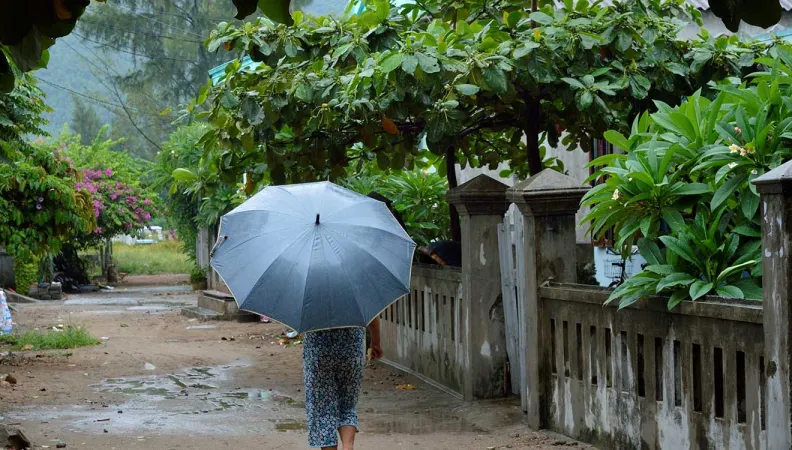 Analyse des impacts socio-économiques du changement climatique au Vietnam et des stratégies d’adaptation à moyen et long terme