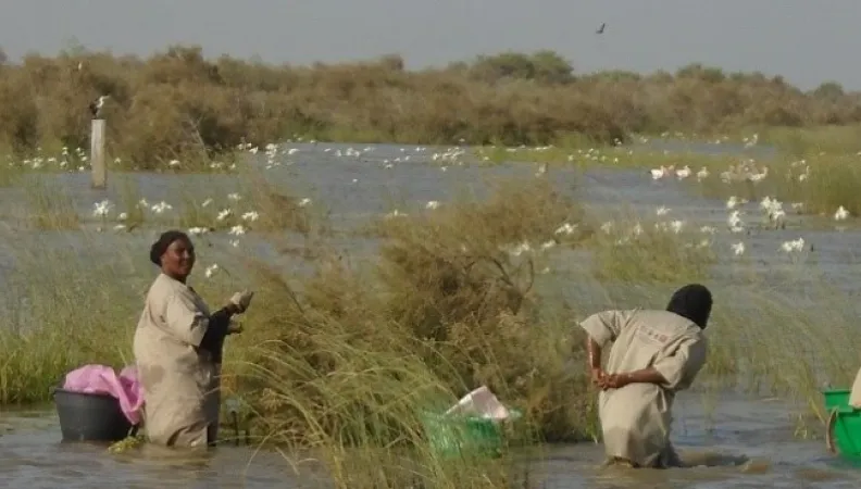 Communs et gouvernances partagées 