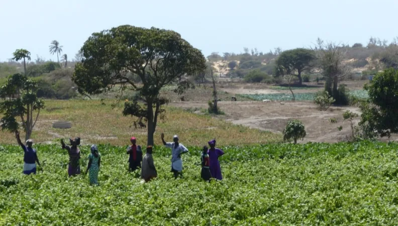 Renforcer la résilience des communautés fragiles au Sahel grâce à un modèle de développement efficace