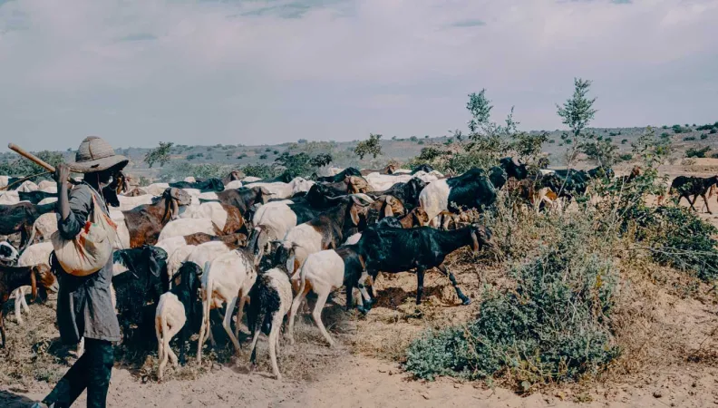 – La Facilité Adapt’Action, un outil innovant et agile « 100% Accord de Paris sur le climat »
