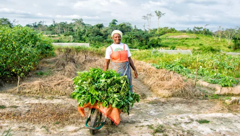 Agricultura e desenvolvimento rural, mulher, Gabão
