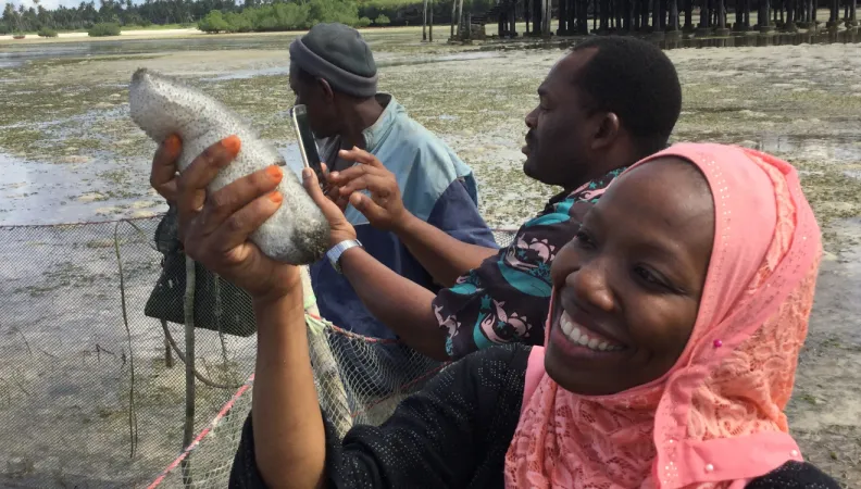 Tanzanie, littoral, algues