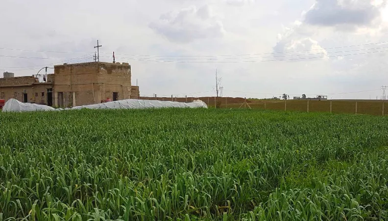 L'action de l'AFD en Irak