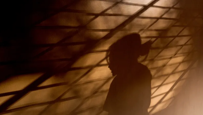 violences genre confinement afd