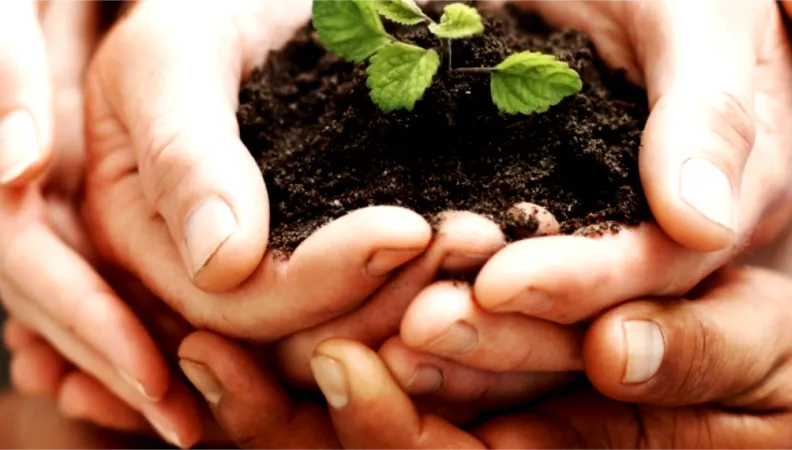 L’épargne solidaire au service de la solidarité internationale, ONG Finansol