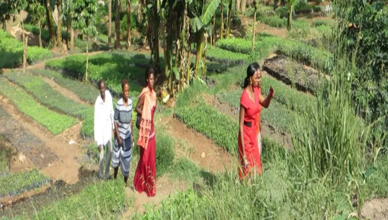 photo ong fondation terre solidaire