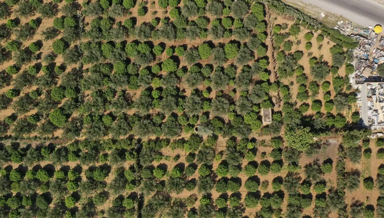 Tunisie champ agriculture adaptation changement climatique