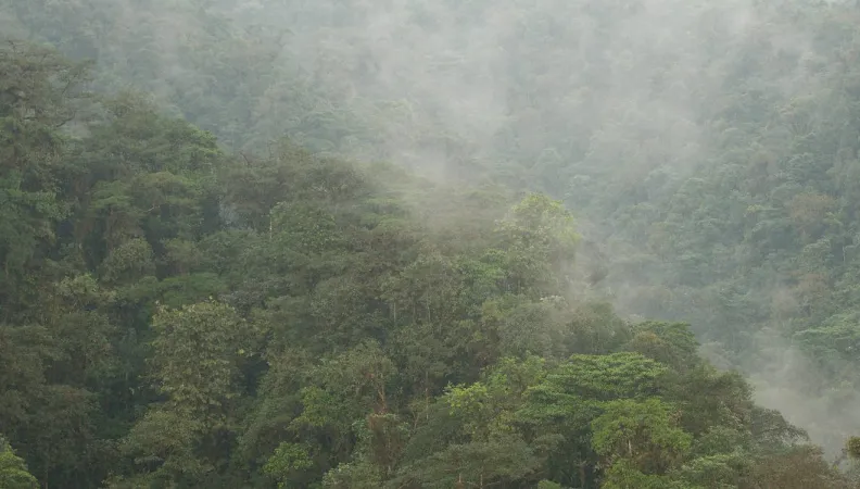 programme terramaz equateur