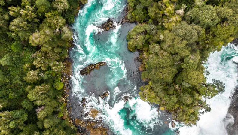 Webinar: How to finance life on Earth: a high-level discussion with experts in biodiversity finance 