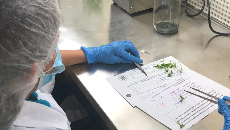 Projet rénovation des formations agricoles, rurales et environnmentales avec une approche genre