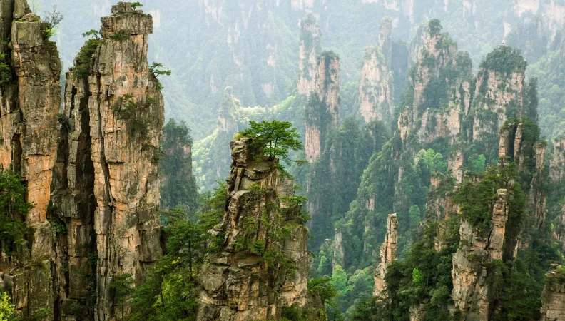 Chine France AFD environnement climat biodiversité