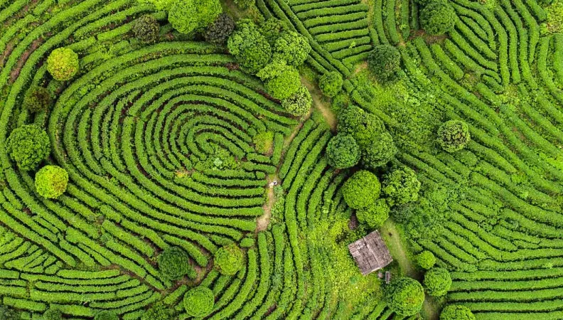 IDFC, un réseau de 26 banques de développement nationales, régionales et bilatérales