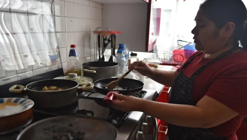 Formalisation et professionnalisation du travail domestique