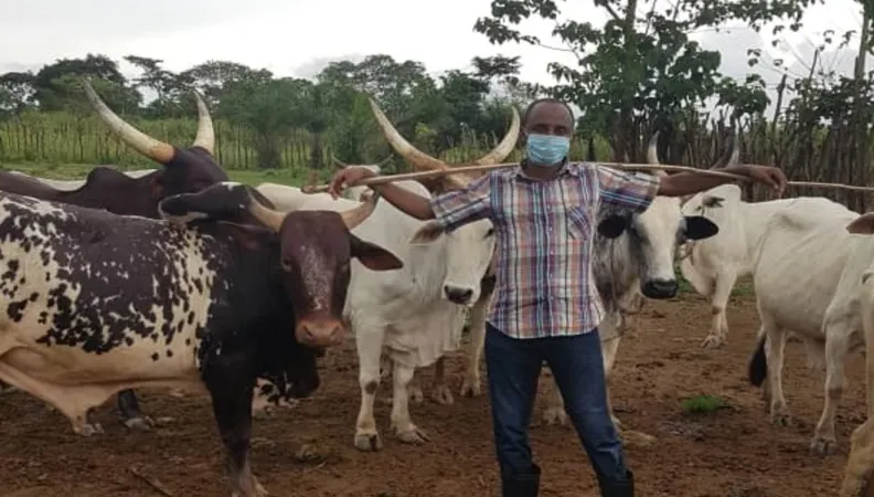 Réduire les impacts de la crise sanitaire en Centrafrique