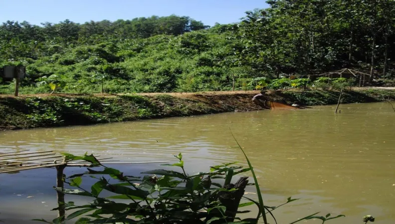 Promouvoir l’agroécologie dans les Chittagong Hill Tracts, Bangladesh, projet Secours Catholique