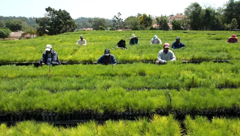 L’association Plan Sierra oeuvre pour la protection de la Cordillère centrale