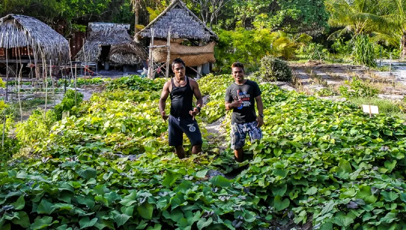 Kiwa Atoll ferme bio pedagogique