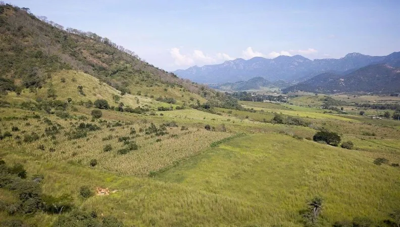 Le Mexique est l’un des plus riches pays de la planète en termes de biodiversité