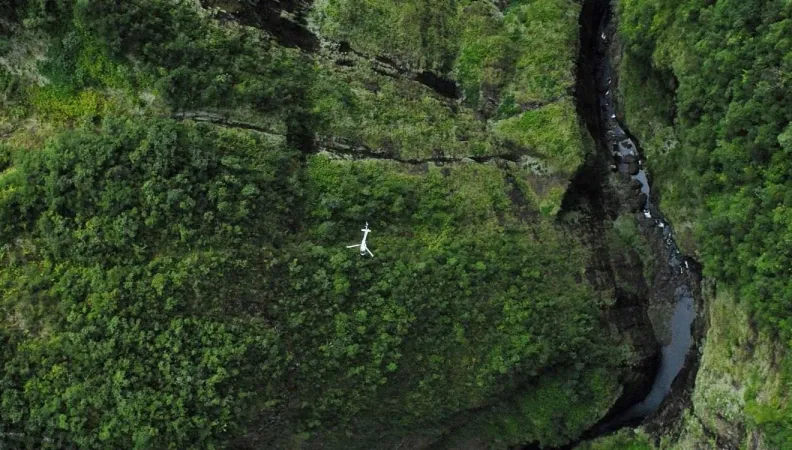 Explorer les risques financiers liés à la biodiversité