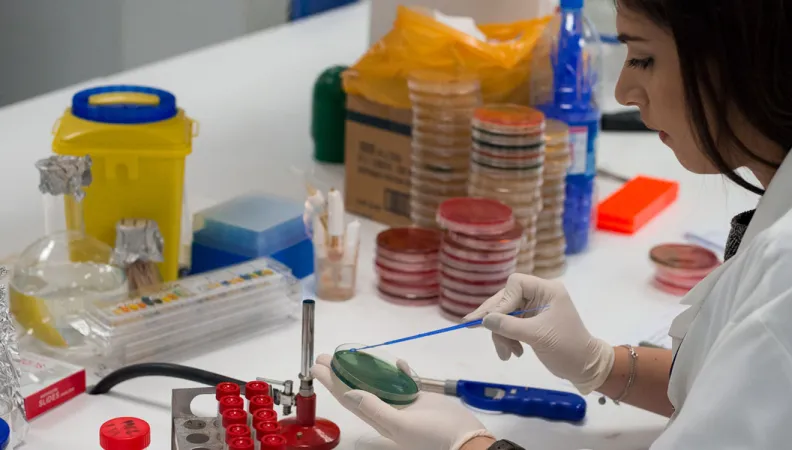 Appui technique pour améliorer la qualité du système de santé libanais, projet AFD