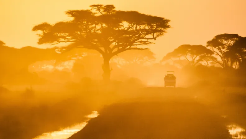 Sunlit Road Ahead FiCS 2