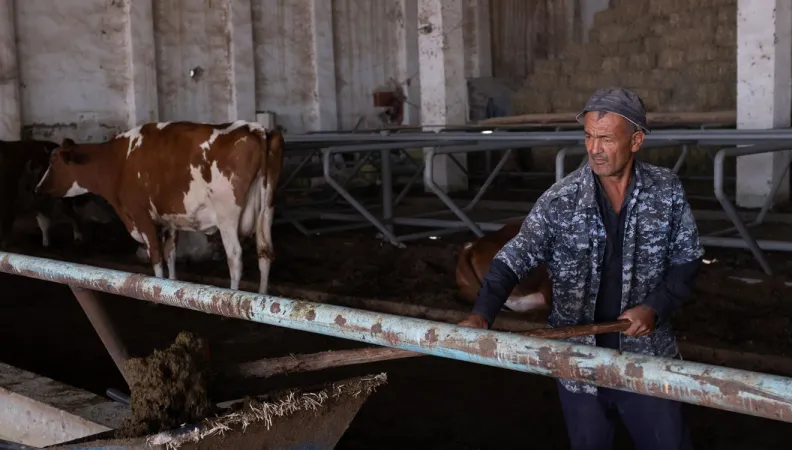 Ouzbékistan : deux nouveaux accords pour encourager le développement d’infrastructures d’assainissement à Navoi, Kitob et Shahrisabz, et les investissements inclusifs et bénéfiques pour le climat dans le secteur de l’élevage