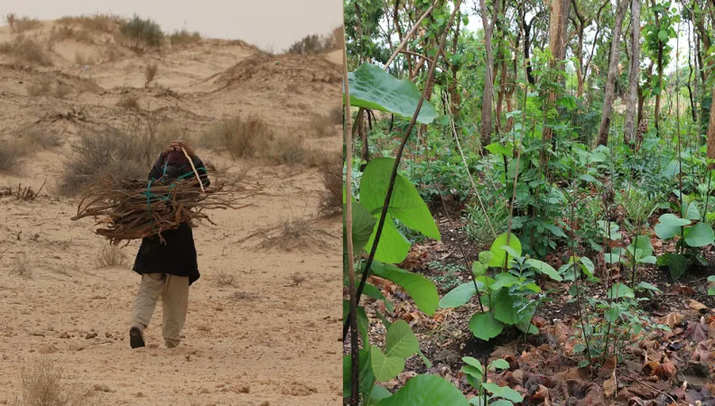 ecosysteme-afrique-conference