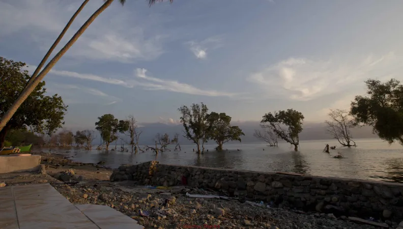 L’AFD accompagne l'Indonésie dans la mise en oeuvre de sa stratégie carbone bleu